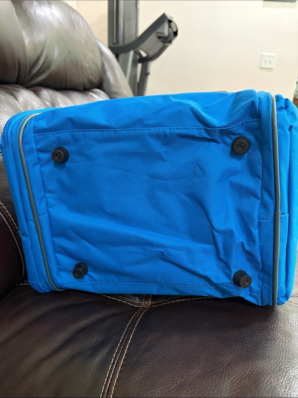 Blue Small Pet Carrier with Gray Straps - Picture 13 of 13